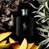 Polo Black Ralph Lauren 125ml EDT - Equivalente