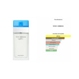 Light Blue Fem Dolce & Gabanna 100ml EDT - Equivalente
