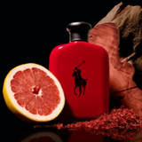 Polo Red Ralph Lauren 100ml EDT - Equivalente