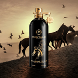 Montale Arabians Tonka - Equivalente